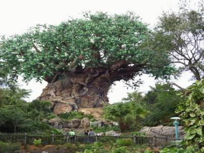 Animal Kingdom