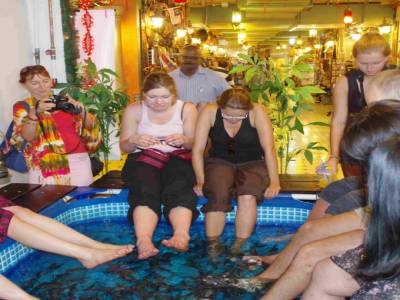 Spa avec les poissons qui bouffent les pieds!!
