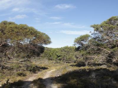my garden in Kangaroo Island !