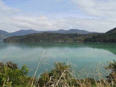 Marlborough Souns (île du sud)