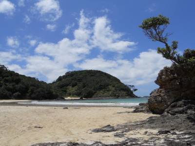 Matapouri (île du Nord)