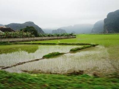 Tam Coc - Ninh Binh