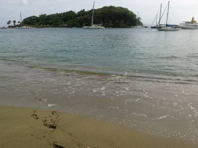 Young Island