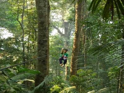 Gibbon Experience