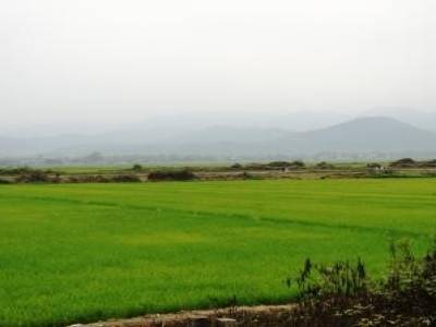 Cuvette de Dien Bien Phu
