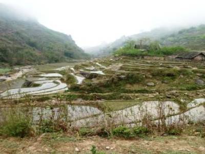 Randonnée à Sapa