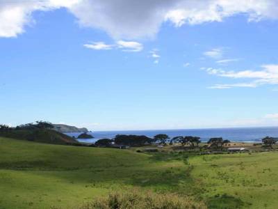 paysage de la cote nord de la North Island