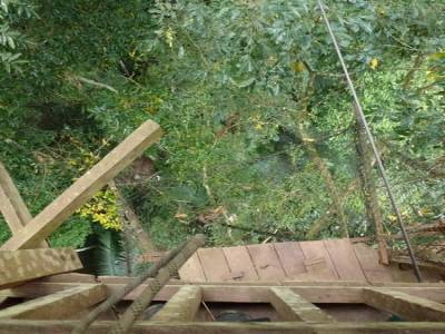 Gibbon Experience