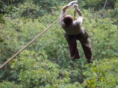 Gibbon Experience