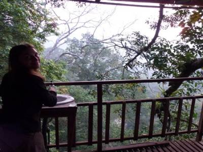Gibbon Experience