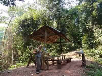 Gibbon Experience