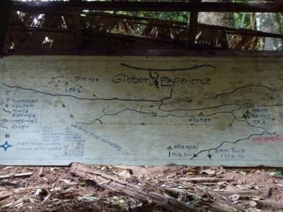 Gibbon Experience