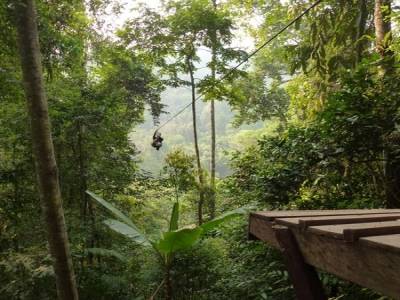 Gibbon Experience