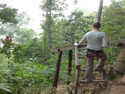Gibbon Experience