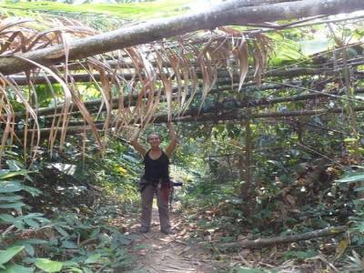 Gibbon Experience