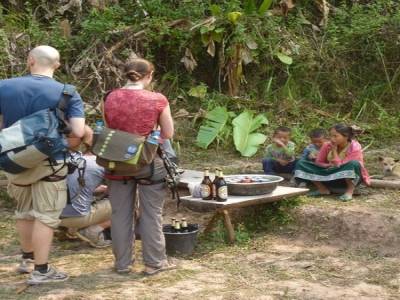 Gibbon Experience