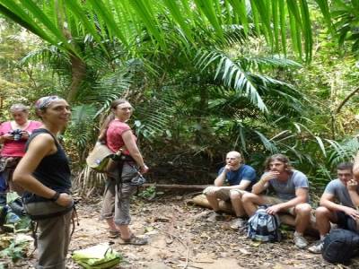 Gibbon Experience