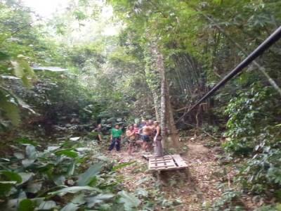 Gibbon Experience