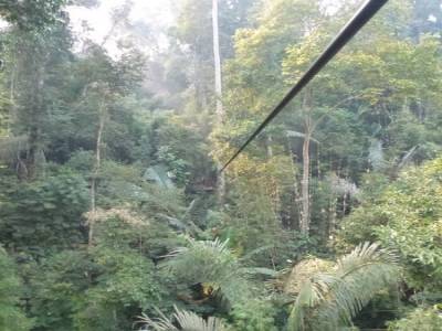 Gibbon Experience