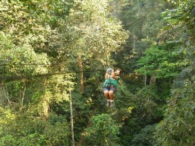 Gibbon Experience