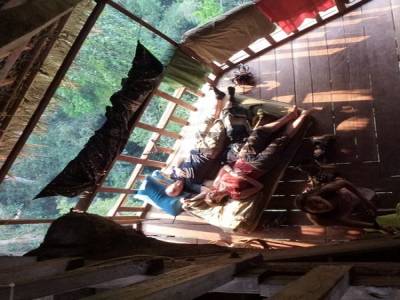 Gibbon Experience