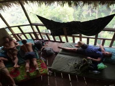 Gibbon Experience