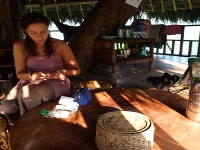 Gibbon Experience
