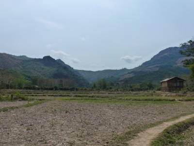 Naung Kiaw