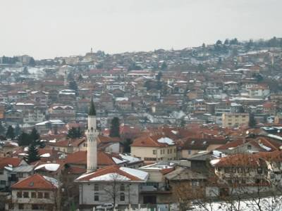 Vratnik