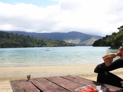 Picnic et déssert de fraises sur une plage abandonnée