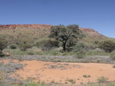 Near ALice Springs
