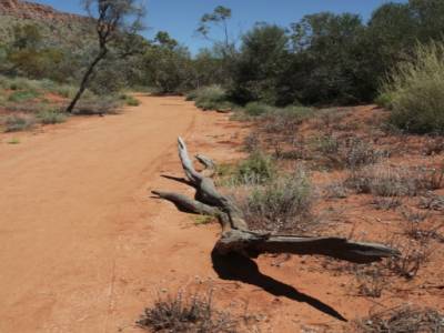 Near ALice Springs