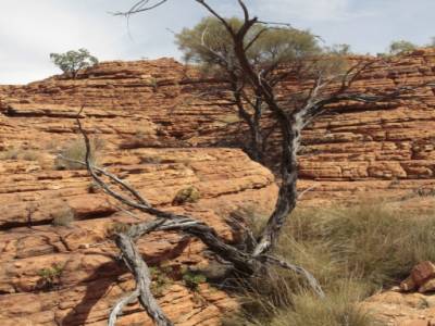 Kings Canyon
