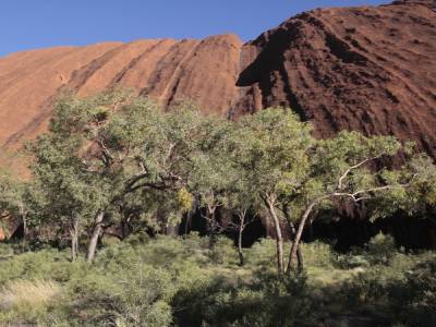 Uluru 