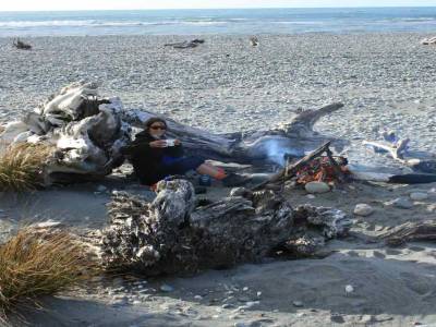 Gillespies Beach