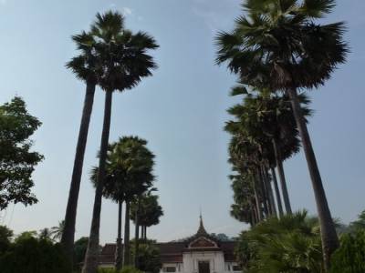 Luang Prabang