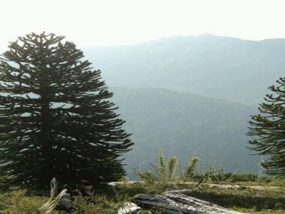 Parc National 