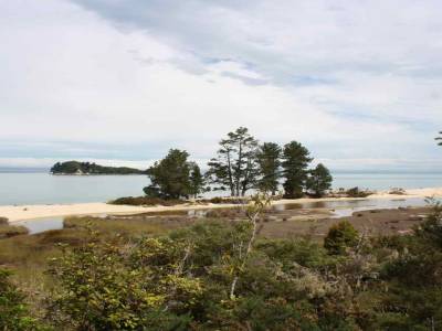 Able tasmanpark, Apple tree beach