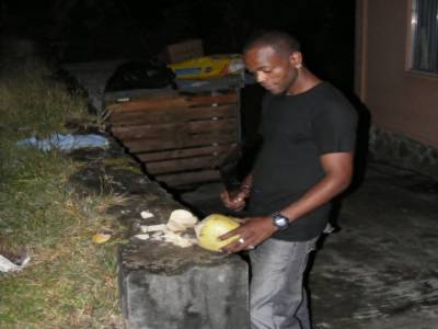 Noix de coco fraiche