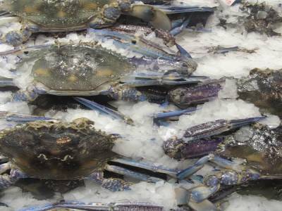 Fishmarket
