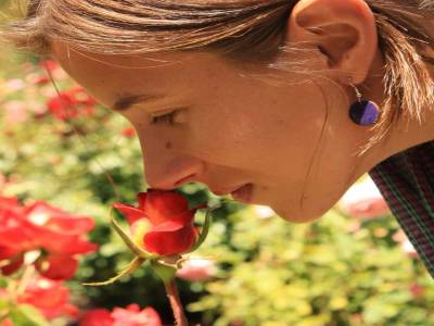 Les roses du jardin botanique