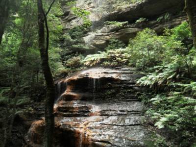 Blue mountains