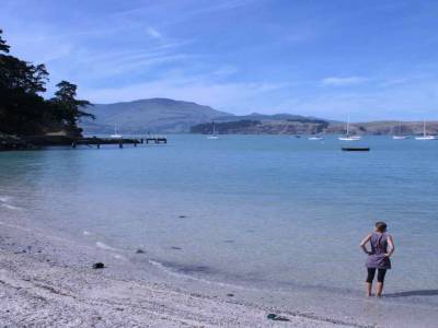 Dernière heures en NZ