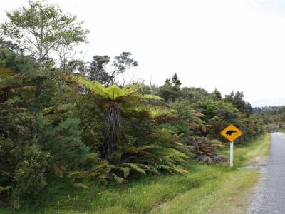 Le pays des Kiwis