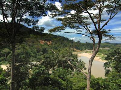 Parc National Taman Negara