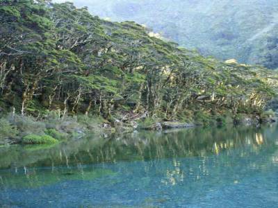 Routeburn Track: Mackenzie Lake