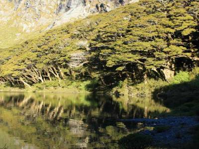 Routeburn Track: Mackenzie Lake
