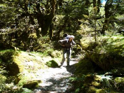 Routeburn Track