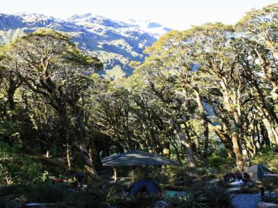 Routeburn Track: Mackenzie Lake camps