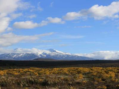 Tongariro Park